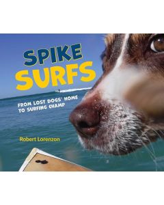 Spike Surfs by Robert Lorenzon