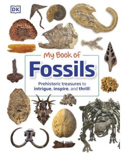 My Book of Fossils by DK